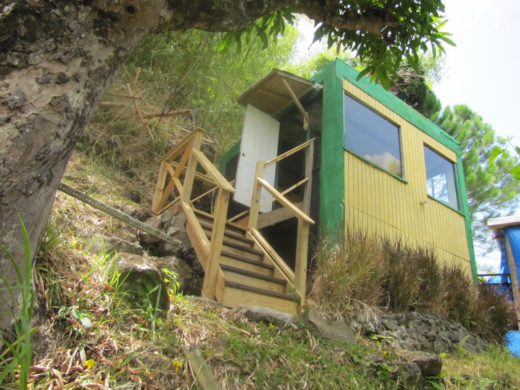 Blue Mountain Wilderness Retreat Jamaica House Villa Port Antonio Exterior photo