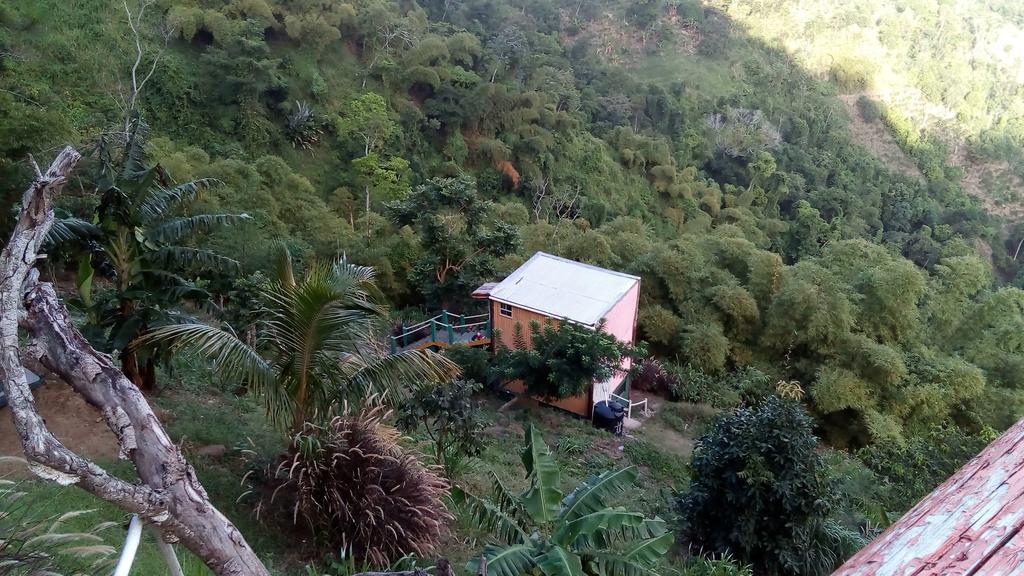Blue Mountain Wilderness Retreat Jamaica House Villa Port Antonio Exterior photo