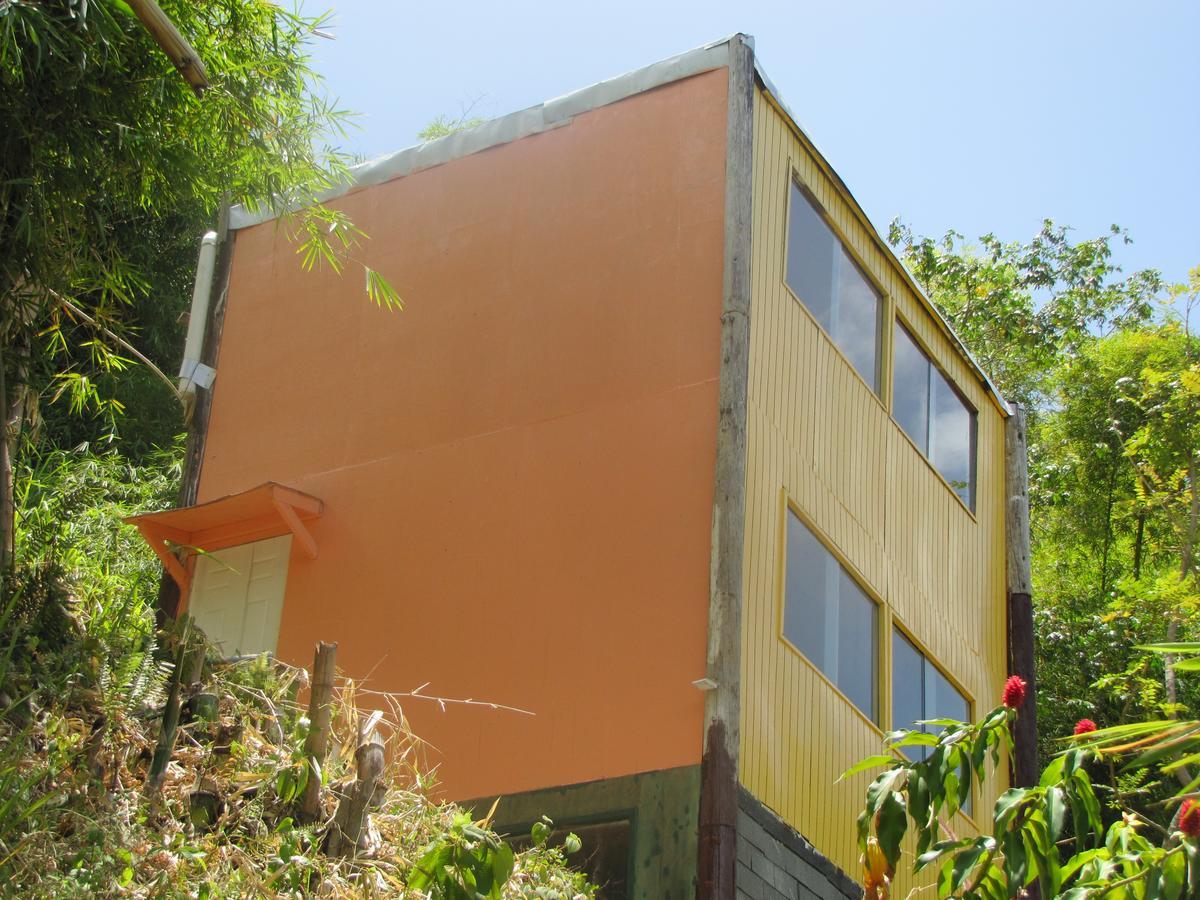 Blue Mountain Wilderness Retreat Jamaica House Villa Port Antonio Exterior photo